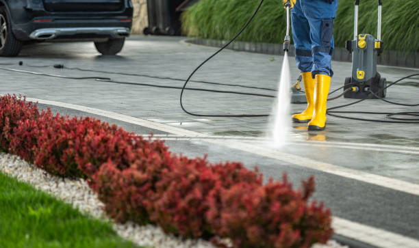 Best Roof Pressure Washing  in Lambert, MS