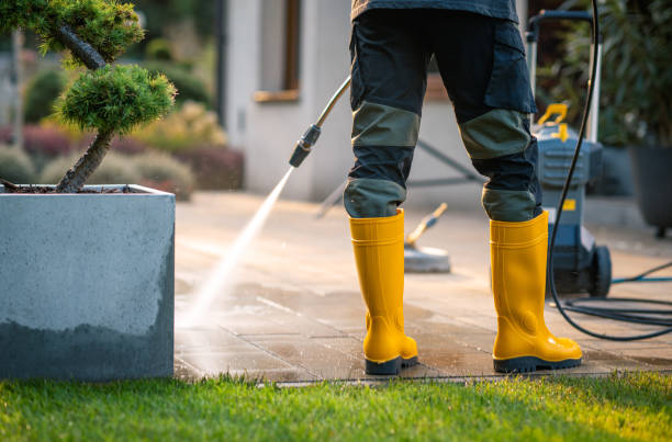 Best Best Pressure Washing Companies  in Lambert, MS